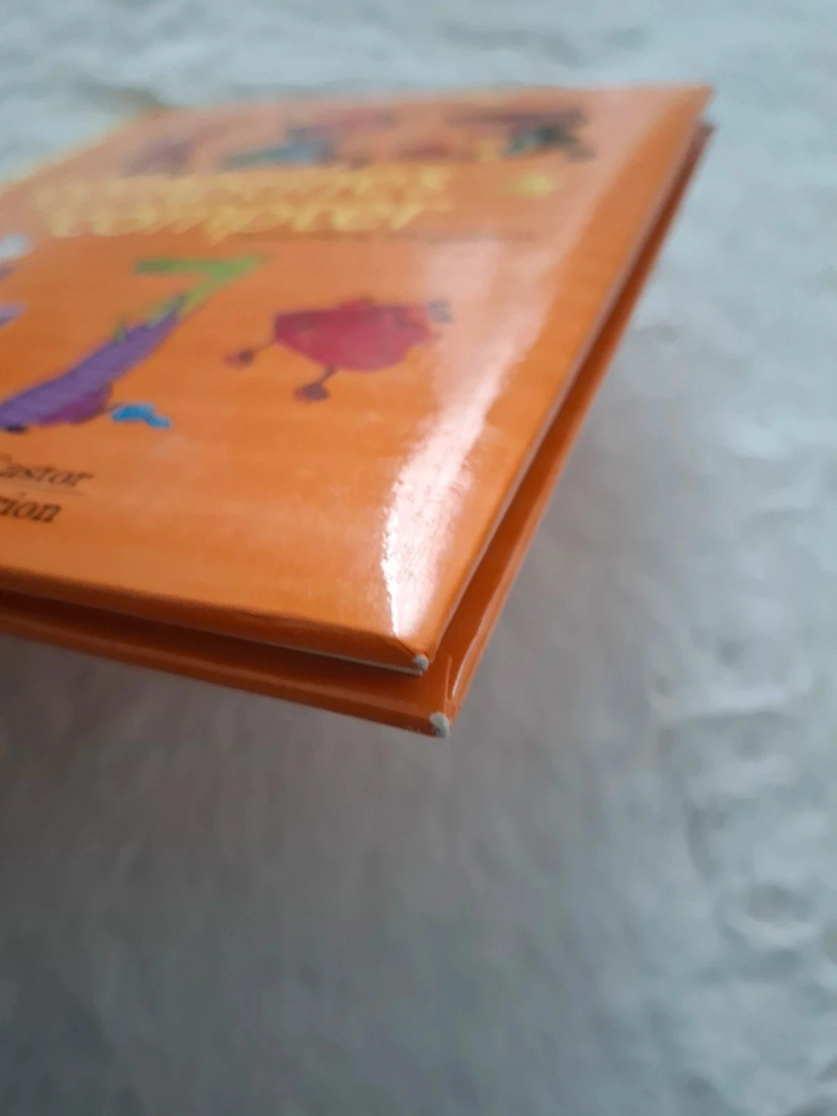 📚 1 2 3 canciones para contar padre Castor Flammarion – photo 4